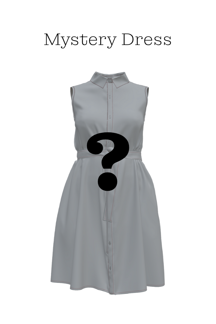 Surprise Me! Mystery Dress